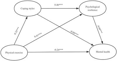 Exploring the impact of physical exercise on mental health among female college students: the chain mediating role of coping styles and psychological resilience